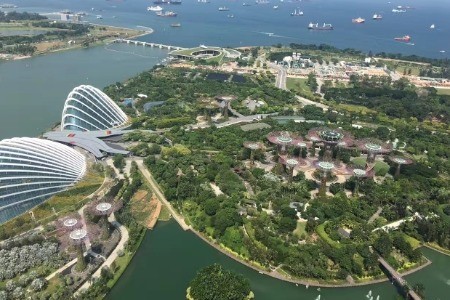 是“坑”还是“势”？2020独立站出海要把握这些门道